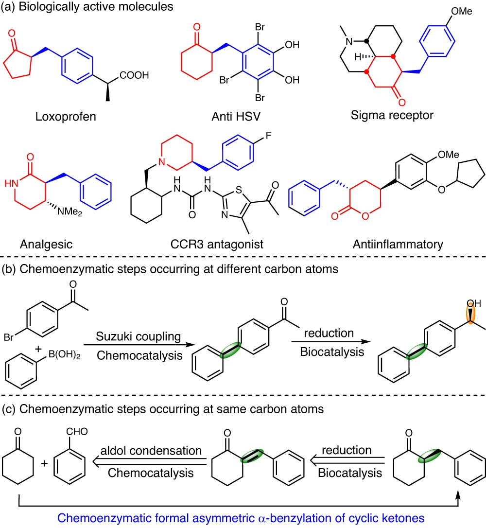 Asymmetric α-benzylation of cyclic ketones enabled by concurrent chemical aldol condensation and biocatalytic reduction